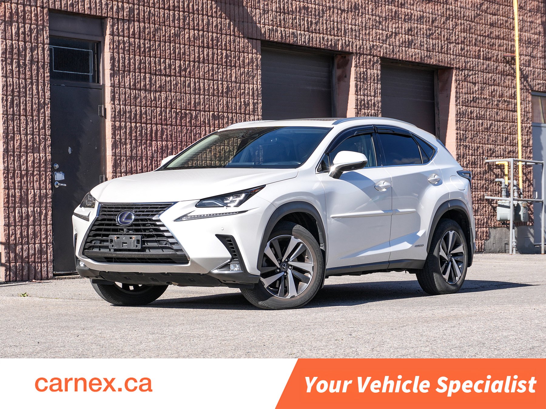 2021 Lexus NXh