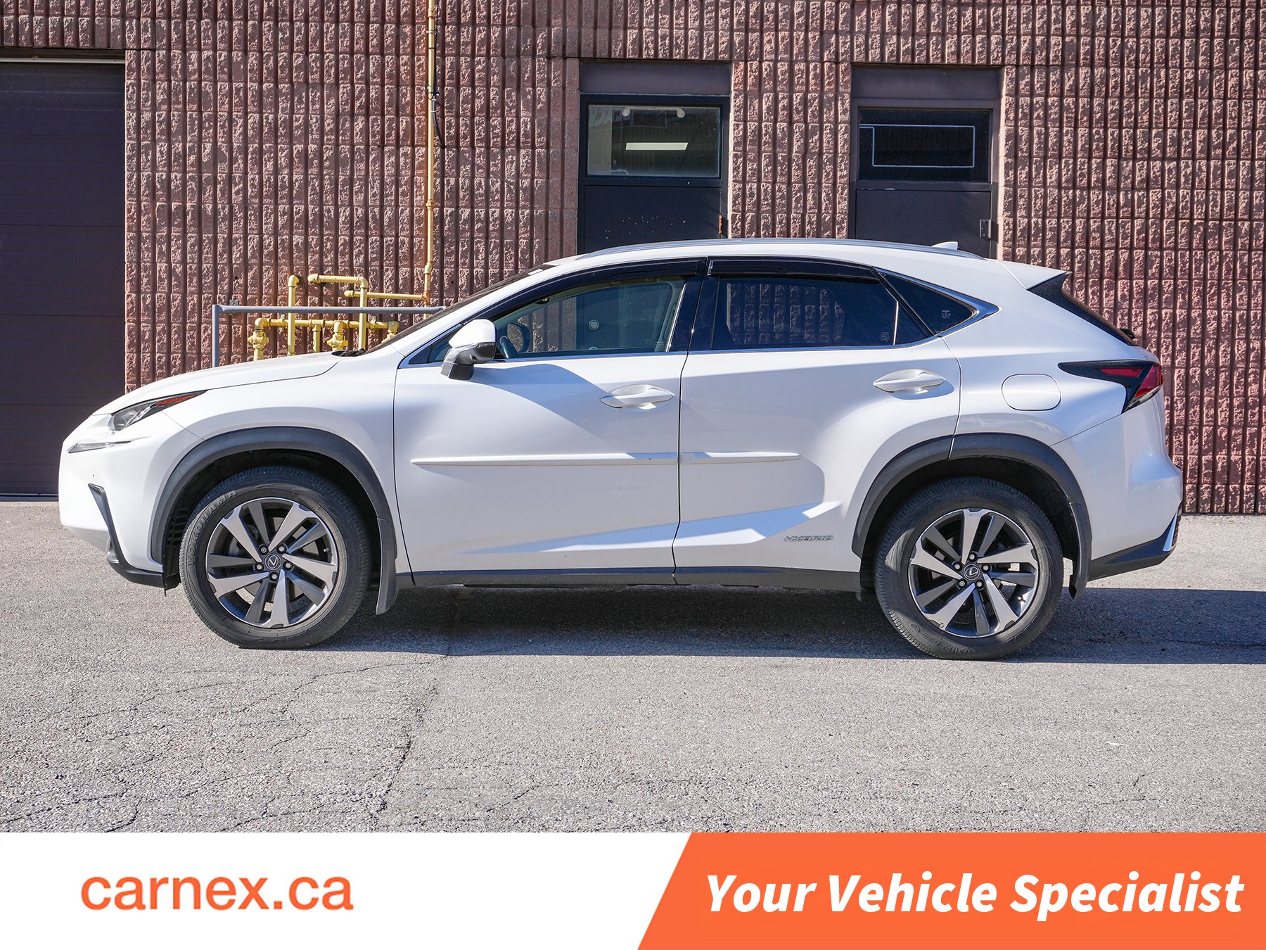 2021 Lexus NXh